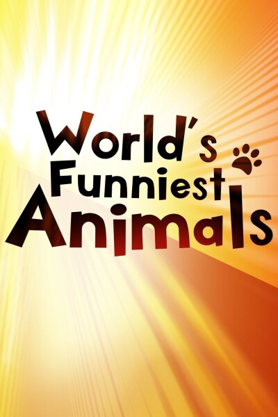 The World's Funniest Animals