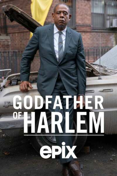 ჰარლემის ნათლია / Godfather of Harlem